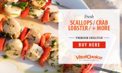 Fresh Scallops, fresh seafood, fresh crab, fresh lobster and more